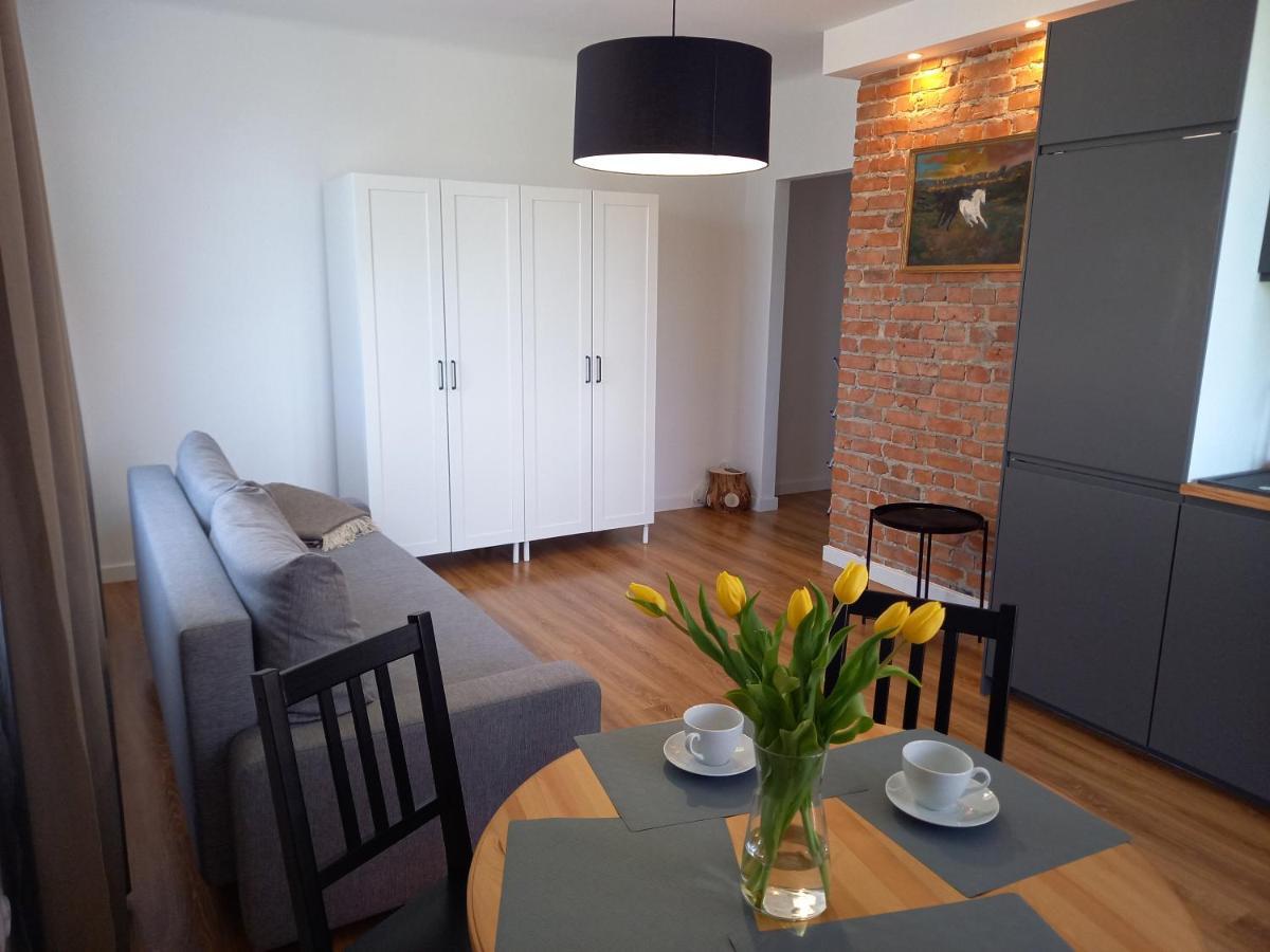 Koszalin-old Town Apartment